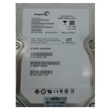 Seagate ST3250310NS 250Gb 3.5" Internal SATA Hard Drive HP P/N 454141-001