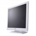 Philips 170S4 17 Inch LCD Monitor