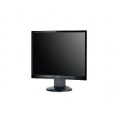 Fujitsu Amilo LL 3190S D19-1 19 Inch LCD Monitor Grade C