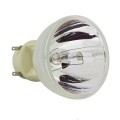 Osram P-VIP 220/1.0 E20.8 Bulb Without Housing
